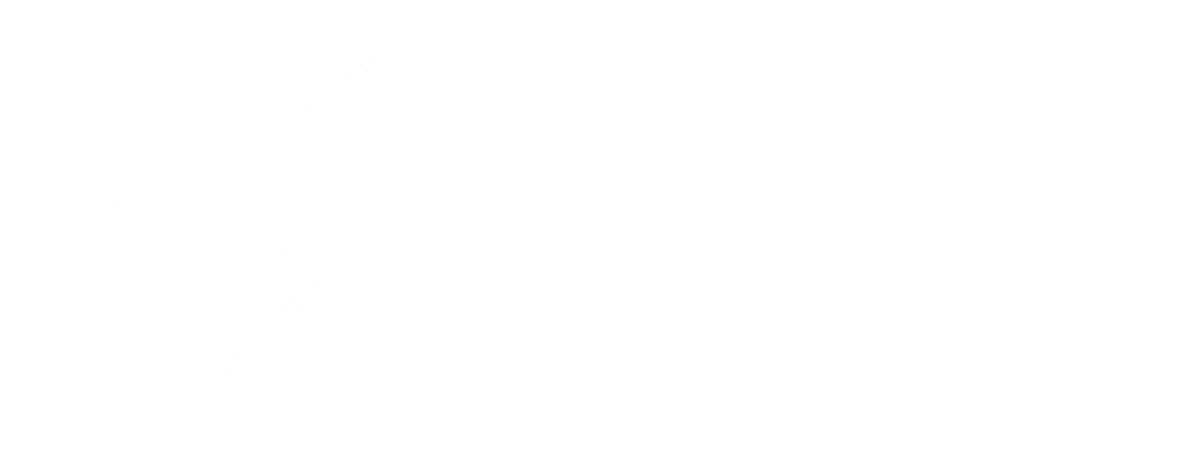 Logo Balance 1 Academy white